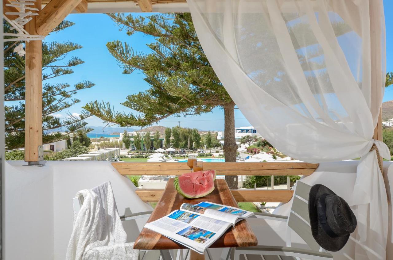 Birikos Studios & Apartments Агиос Прокопиос Екстериор снимка