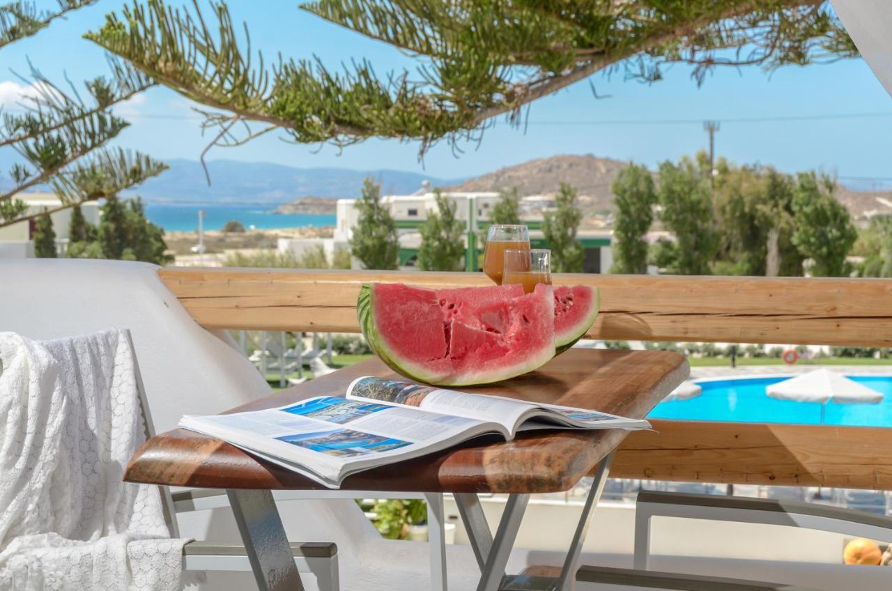 Birikos Studios & Apartments Агиос Прокопиос Екстериор снимка